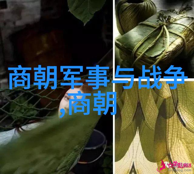 宋代史料我眼中的历史真相揭秘那些隐藏在古卷里的故事