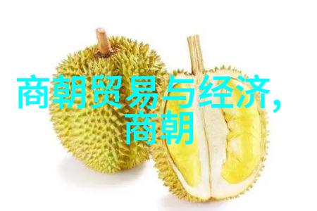 历史的长卷揭秘明朝那些隐秘