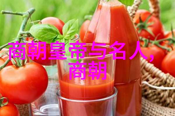 明朝第二个是谁 揭秘历史明朝第二位皇帝是怎样登基的