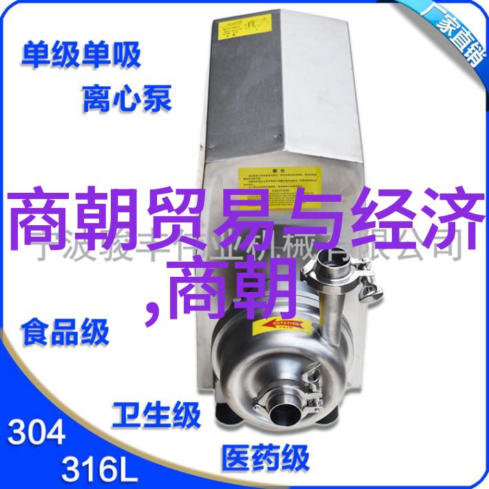 南宋时期的社会变迁与城市化进程