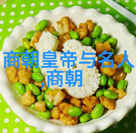 清朝的盛世与衰落历史的序列与变迁