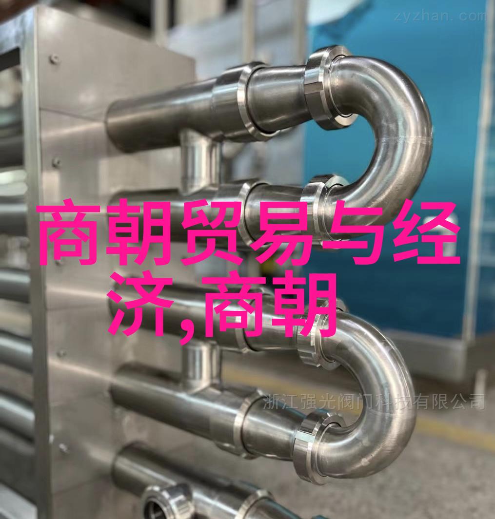 岳飞逝世后靖康之耻如何演变历史悲剧的交织与转折