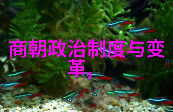 中国历史王朝全览古代中国的朝代体系