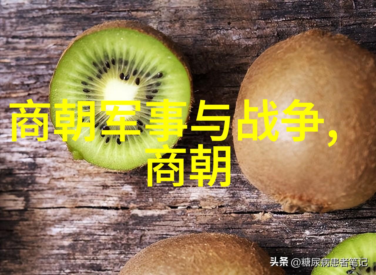明朝官员能力排名表考察与分析以明史资料为依据的研究