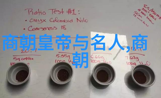 穿越时空中国全部朝代历史的辉煌与沉浮