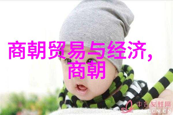 宋朝贸易与经济回顾与展望繁荣与挑战交织