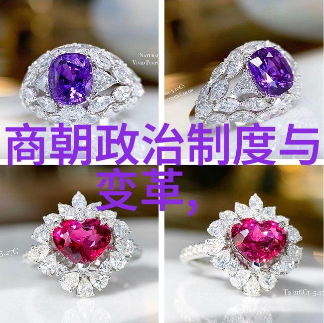 掩盖光辉强调阴霾分析中国通史中的问题