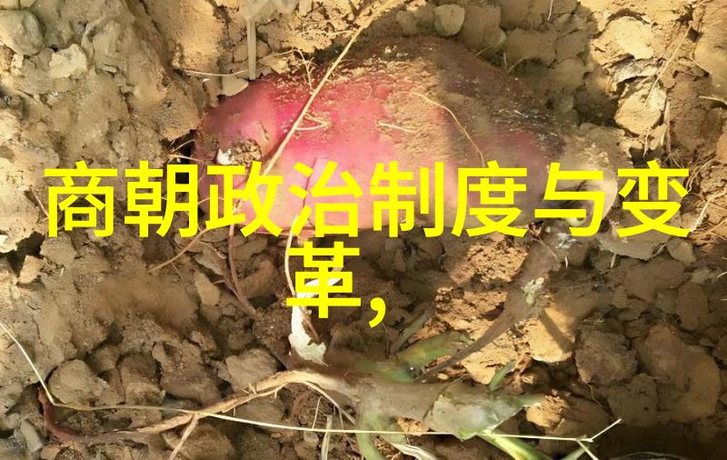 明朝故事精编推荐阅读清晰简洁的资料
