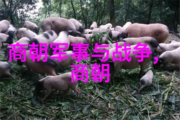 黄梅戏名人赵媛媛反复演绎旦行魅力