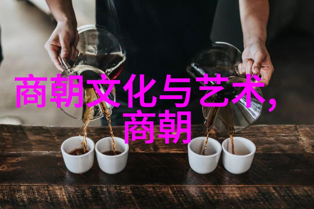 北魏晋朝的历史接续与文化传承