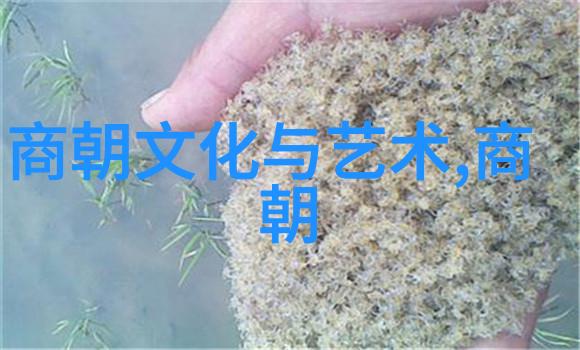 历史 明朝年号表 时光的印记与变迁