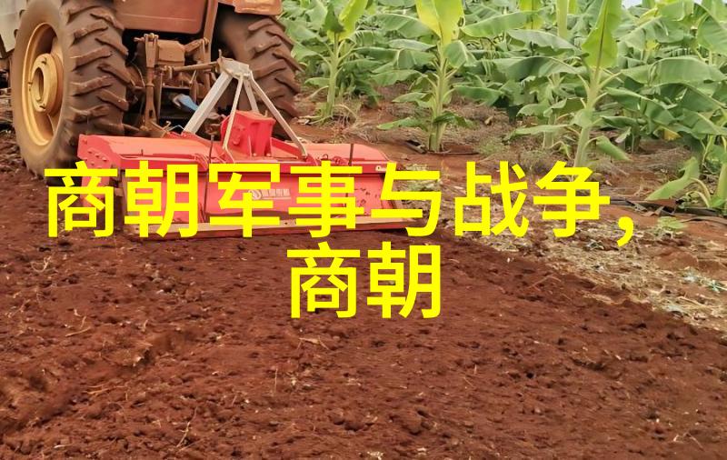 历史的隐喻为什么我们从未见过一部真正的元朝电视剧