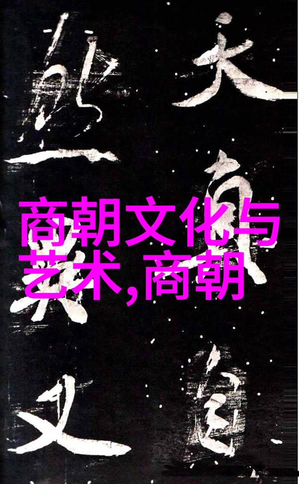 宋朝一统天下与文化繁荣的王朝吗