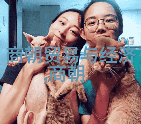 铁血皇帝与绣衣诗人明朝君主的双重面纱