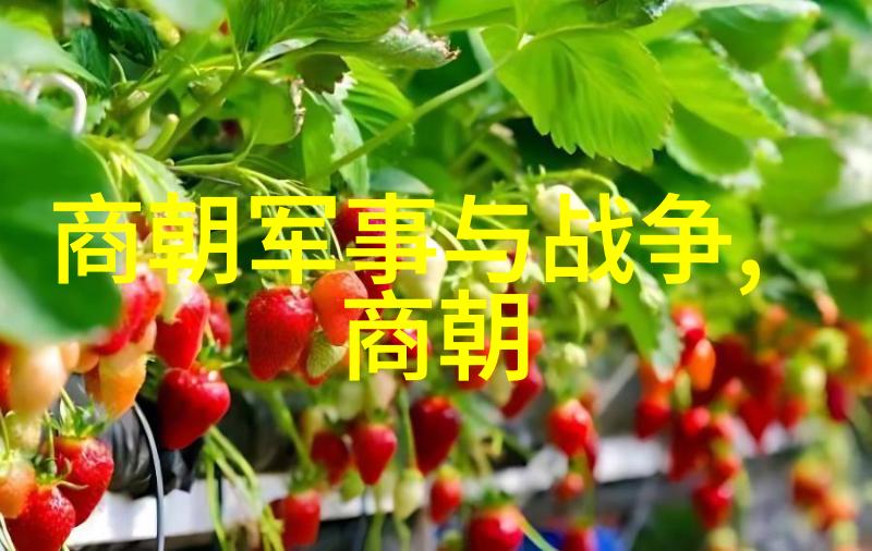 黄梅戏卖油郎韩再芬旦行演员的精彩篇章