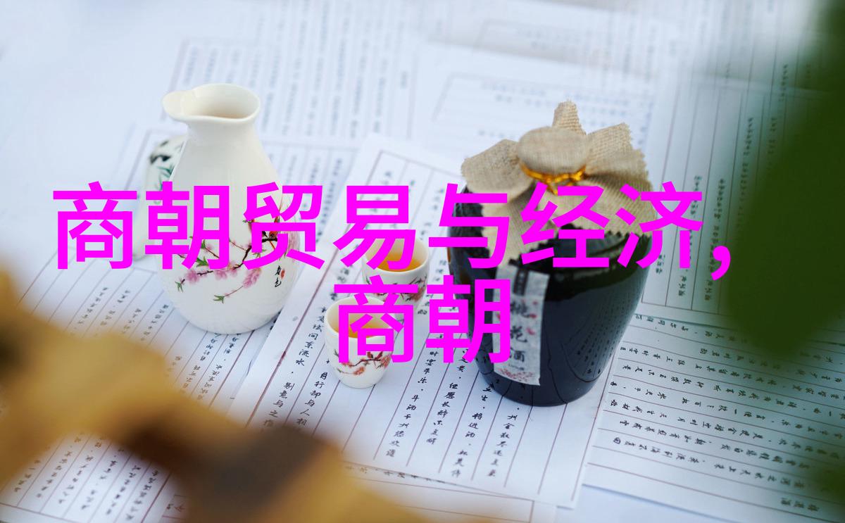 沉沦的江山清初大臣们如何重建中原