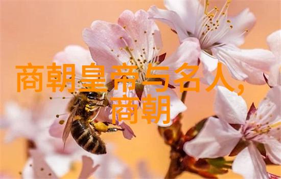 明英宗称号背后的故事权谋与历史的选择