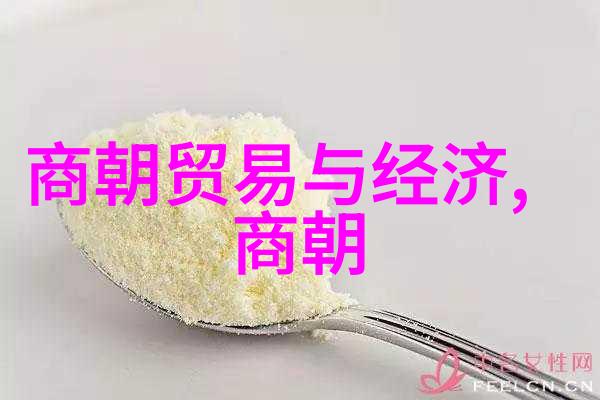 明朝皇帝世系图解权力传承与家族关系的纠缠