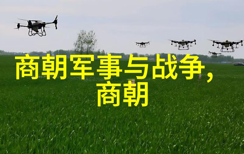 辉煌的盛世元朝对中国的璀璨贡献