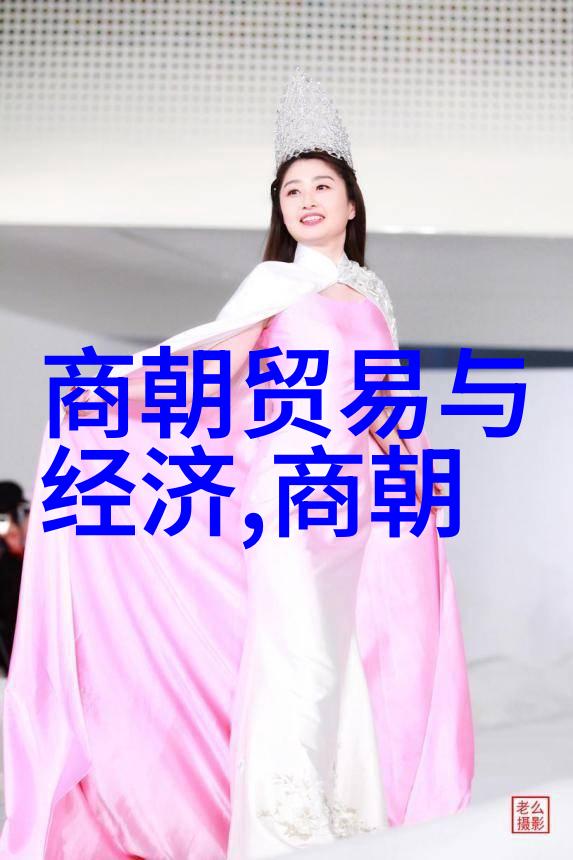 明朝那些事穿越时空的秘密之门揭开了一个令人惊叹的历史谜团
