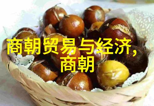 明朝那些事有声小说我在历史的长河中遇见了一个奇妙的故事