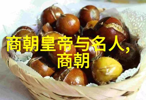 辉煌的封建帝制从忽必烈到顺帝的元朝统治
