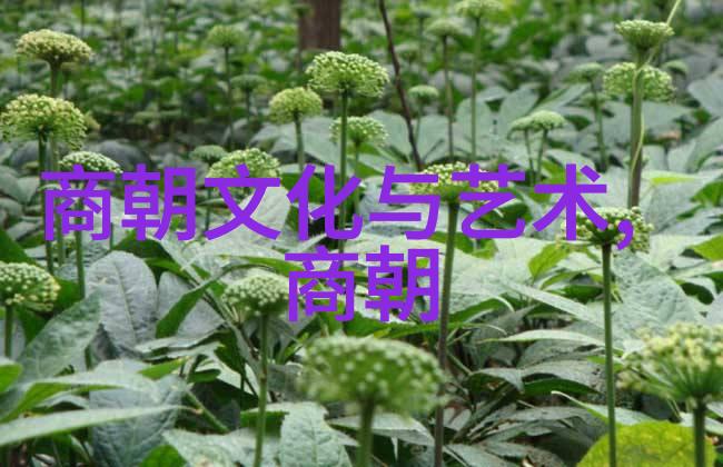 倪文东书法的名人名言又有哪些精彩之处