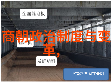 多元民族联盟下的中央集权构建从后金到清朝视角分析