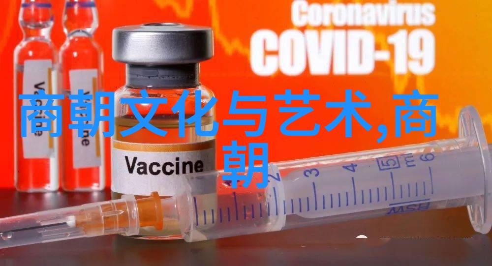 重新审视一段辉煌与暗淡交织的历史论明朝那些事儿