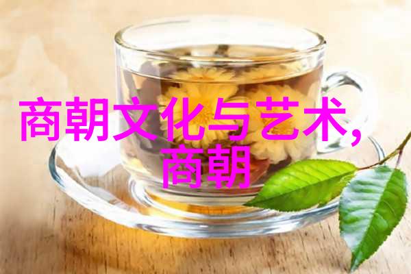 南明朝历代帝王顺序表-复兴的遗响南明朝历代帝王传