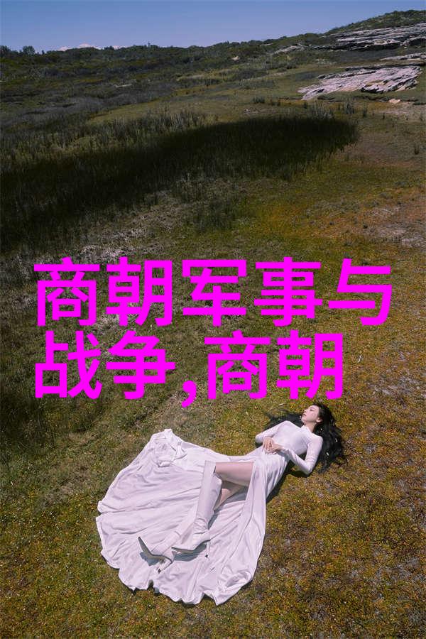 唐肃宗的御物