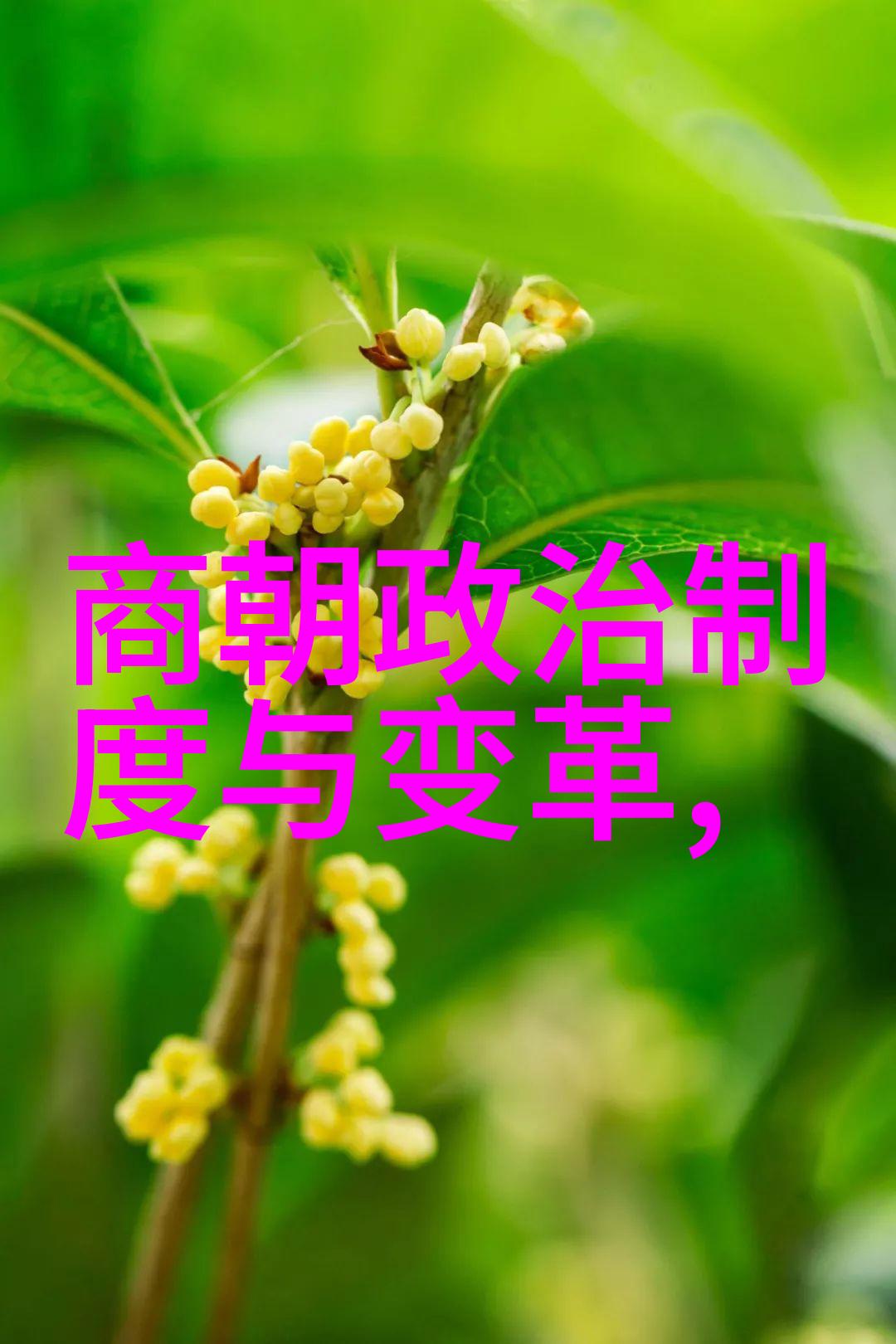 乾隆的儿子们为什么都短命-帝王之痛探索乾隆子嗣早夭的谜团