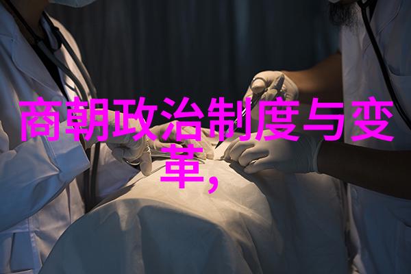 元朝是中国-从忽必烈到顺帝探索元朝的中华身份