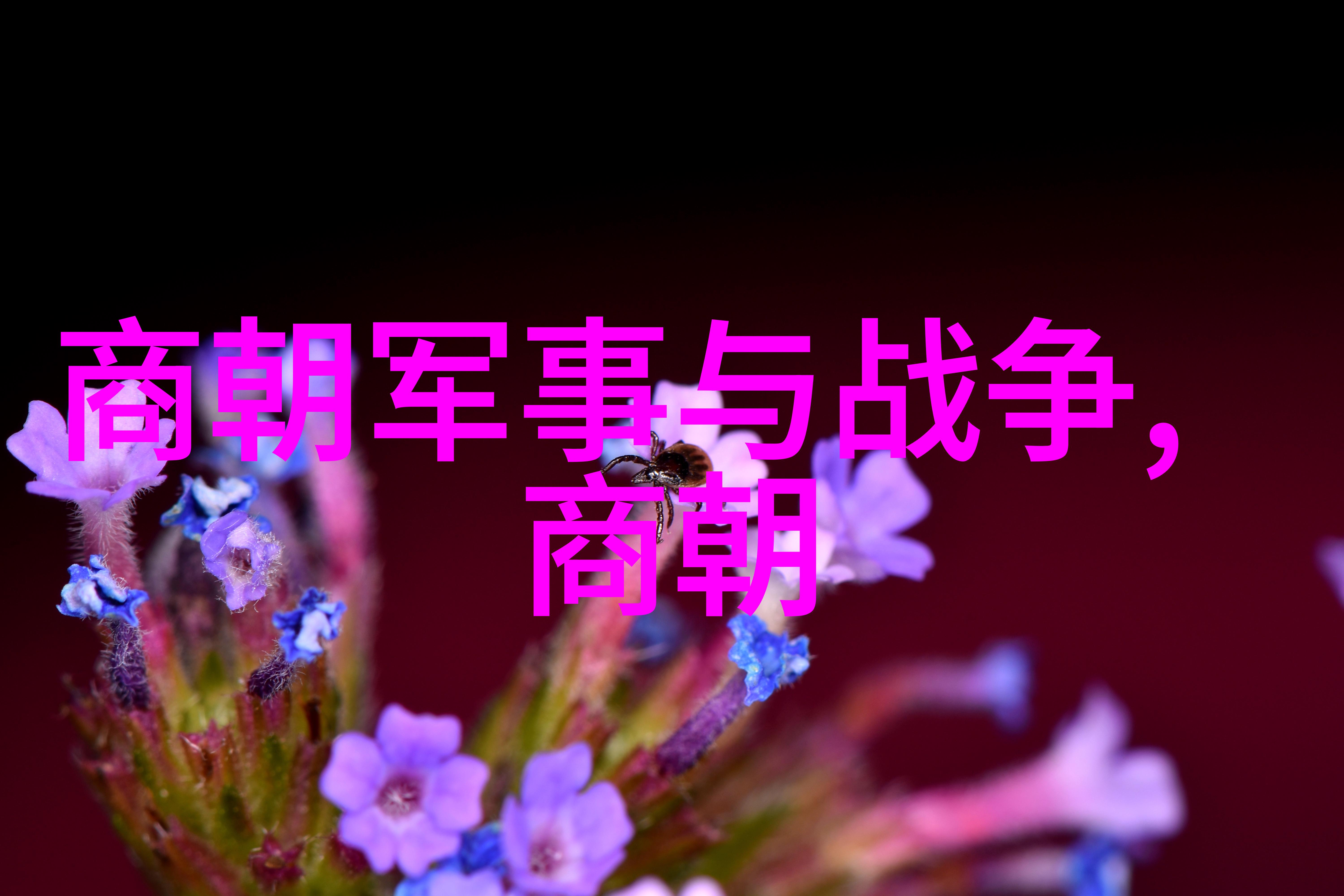 天下一统宋朝算盘中的帝国梦