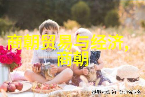 明朝的军事实力与经济基础强国之谜解析