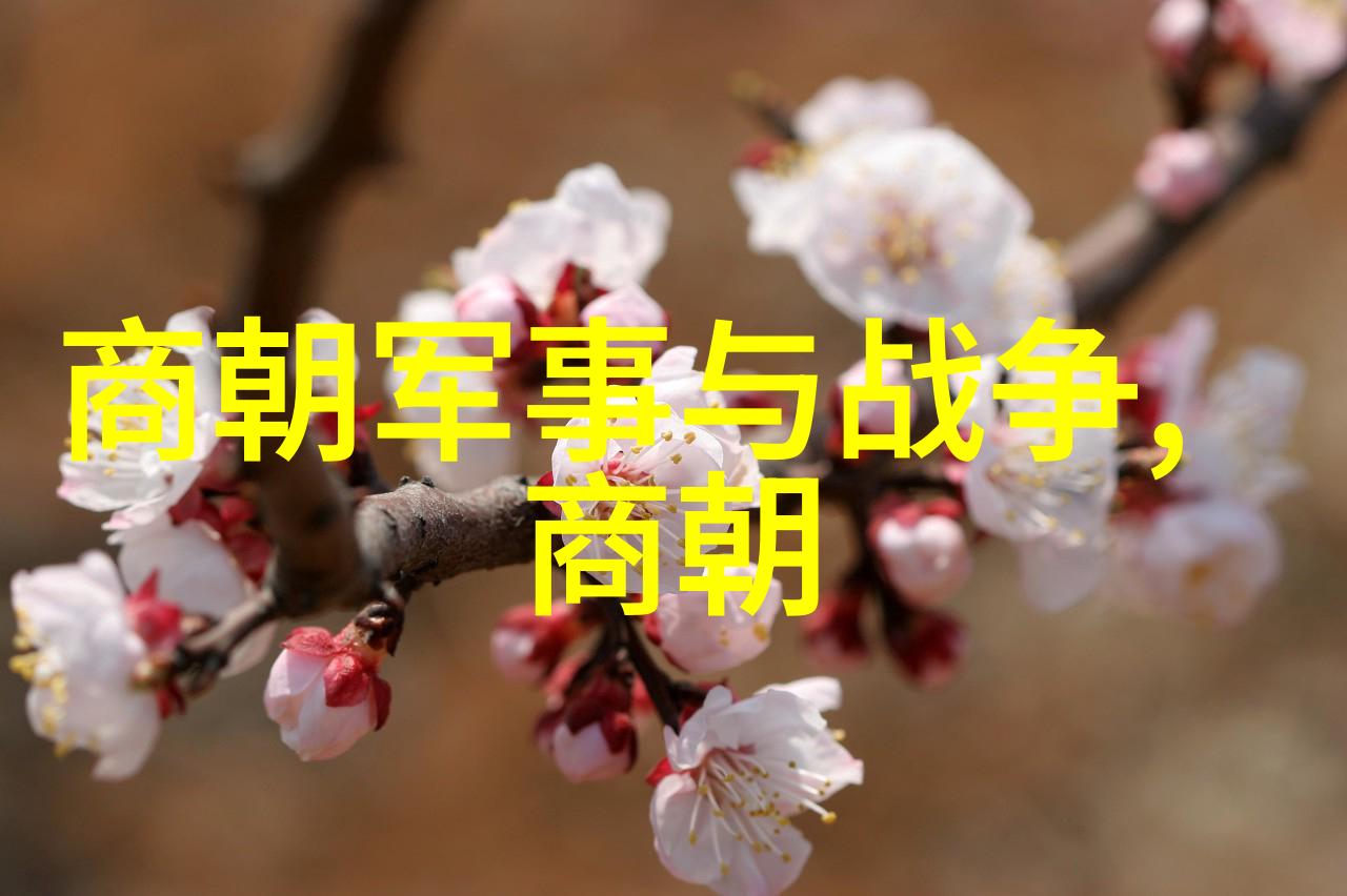 明朝历史解说天下兴衰的盛世变迁