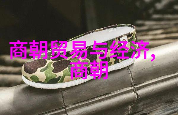 从边陲到中心明朝地图上的边疆动态