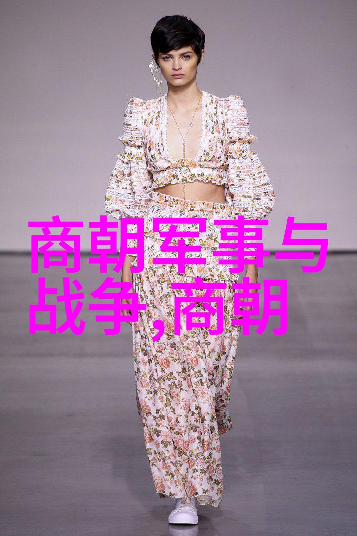 历史的终章满清征服