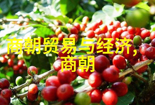 宋徽宗的艺术追求与南宋的文化复兴