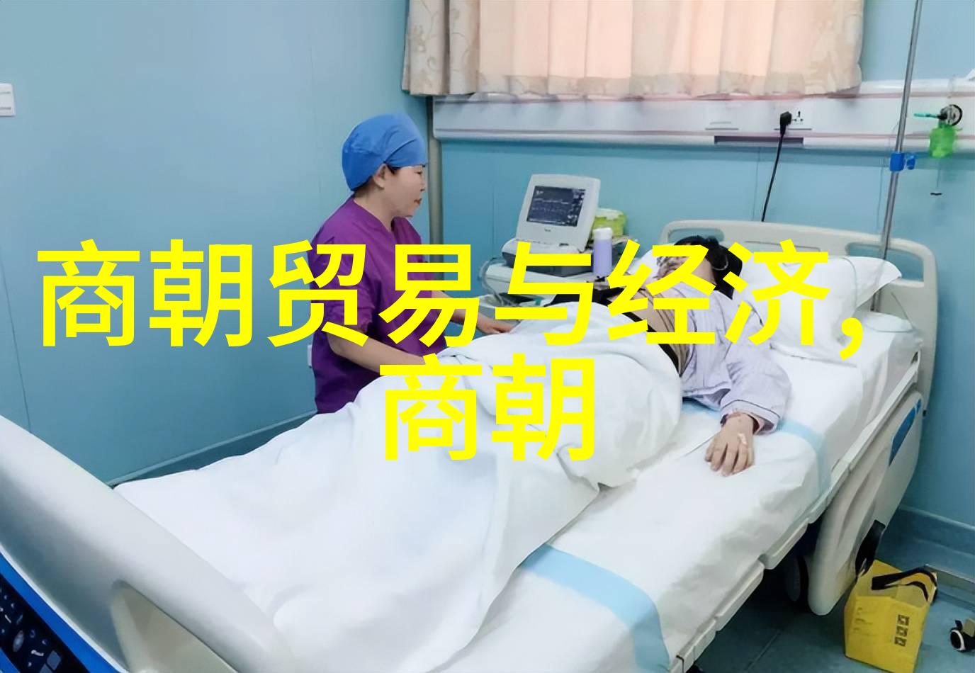 北宋末年的政治经济和军事问题是什么
