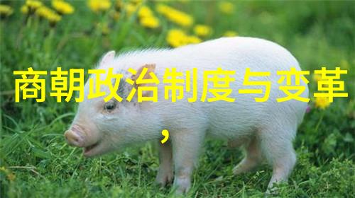 做有温度的人工智能在临沂教育科研信息网上助力人物成长