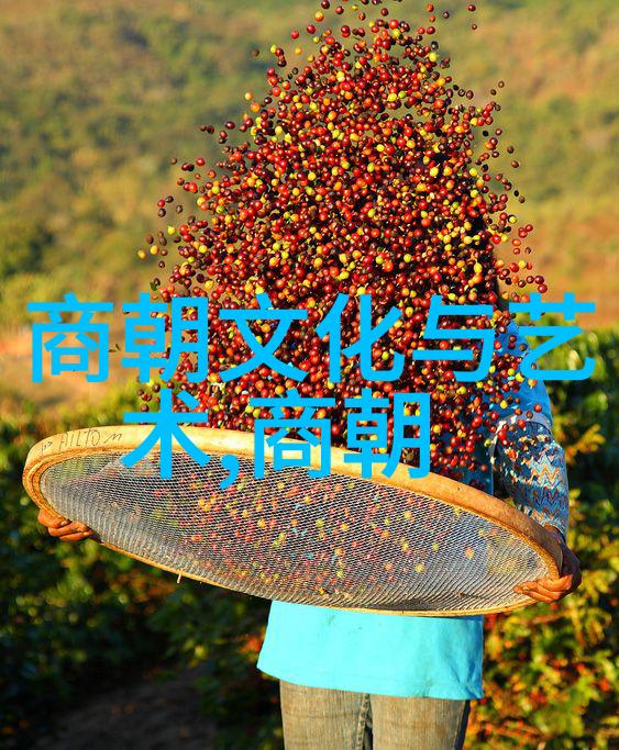 在实际应用中这种类型的名单有什么具体用途和优势吗