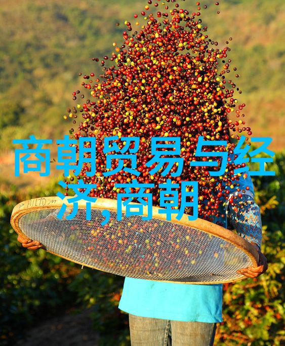 中国历史上最不应该灭亡的朝代中国文化与帝制的象征