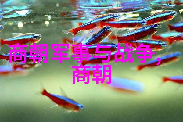 忽必烈征服的辉煌与蒙古帝国衰落的阴影