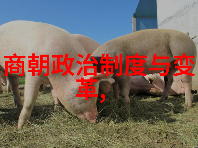 南明灭亡之后还有小朝廷-余晖中的最后一支旗南明遗臣的抗争