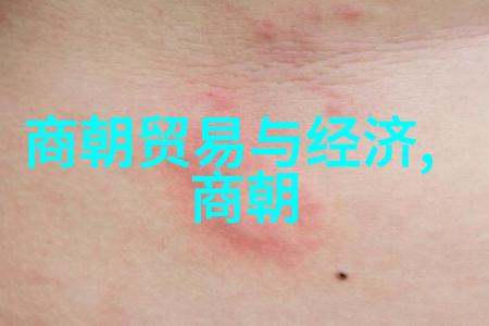 皇家生活下的健康危机探究朱瞻基疾病之谜
