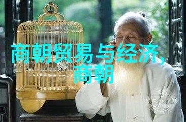 赵鑫洲李世民的电视剧中的历史智者