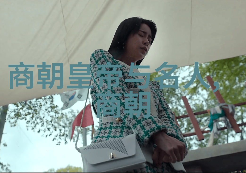 朝代回声明朝那些故事的完整篇章