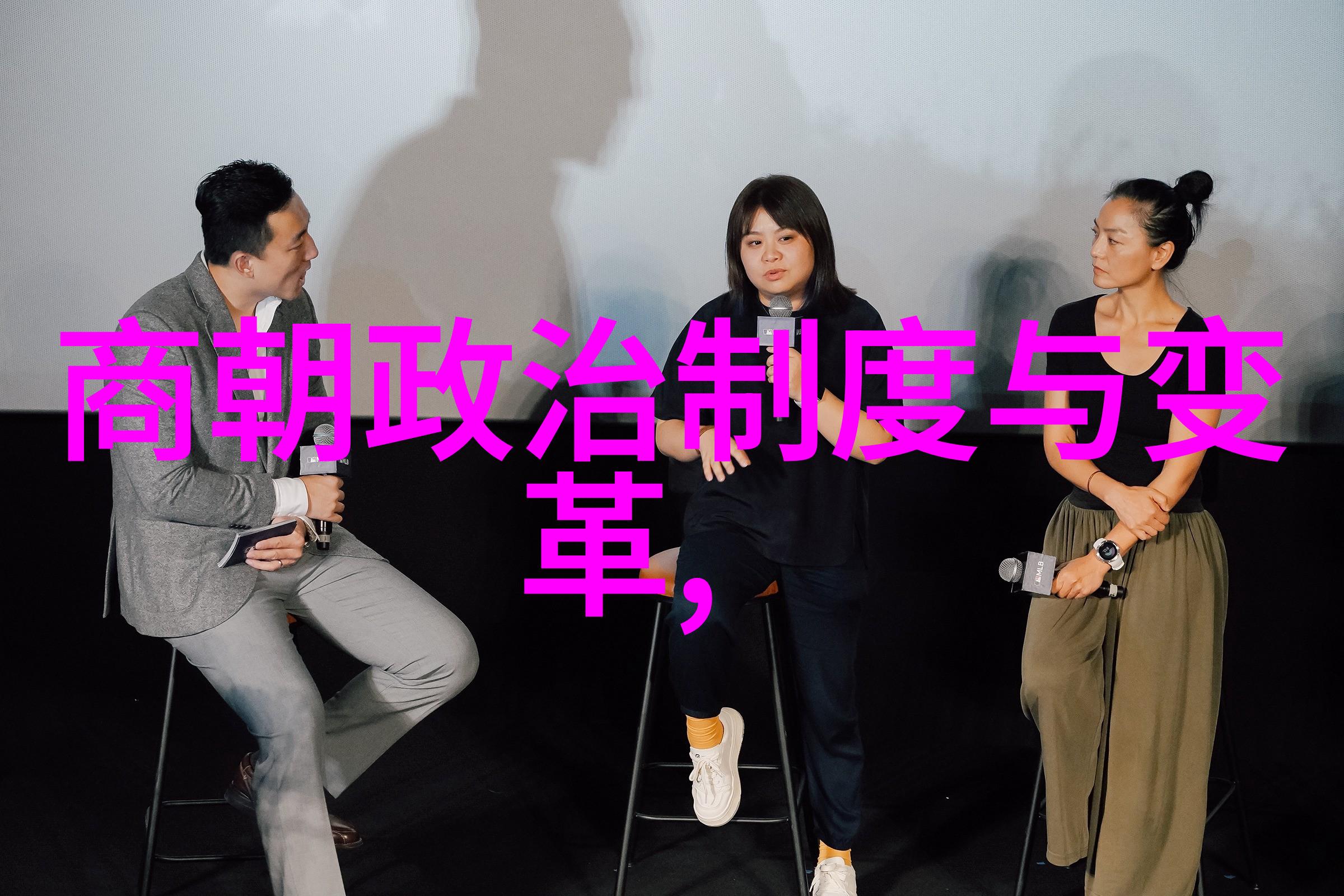 刘伯温与马皇后之谜揭开明朝宫廷中的秘密情缘