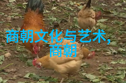 关于我国第一部电影这部作品在国内外又是如何命名和传颂的